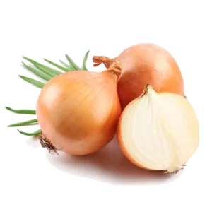 پیاز صادراتی و ارگانیک