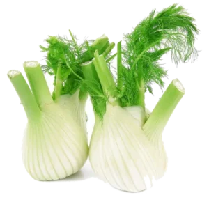 پیازچه ارگانیک