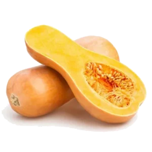 کدوی ارگانیک و تازه