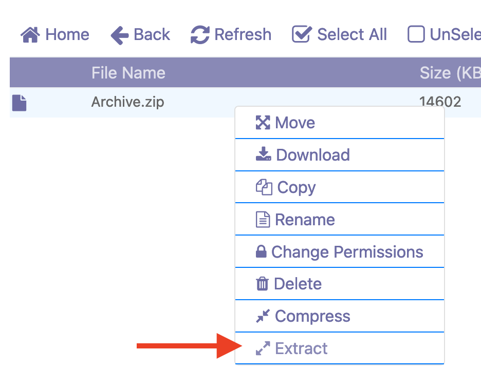 Unzip the file in Cyber ​​Panel