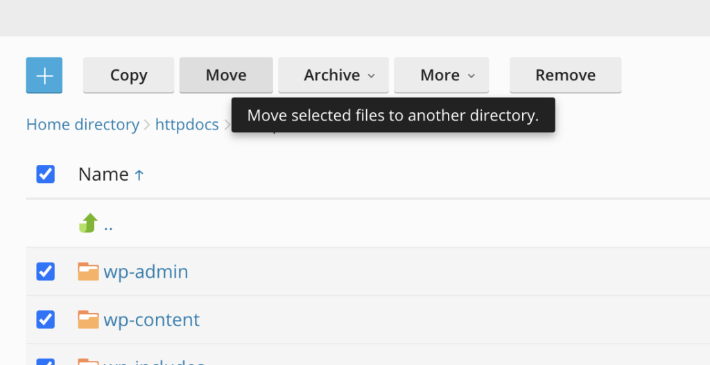 Move WordPress to the main folder.