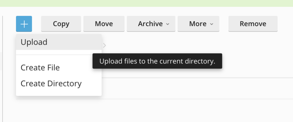 Upload files in Plesk