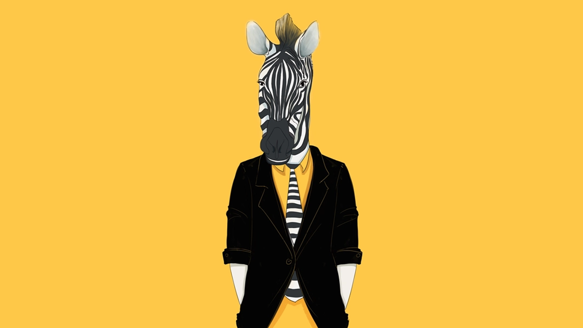 What is Google Zebra Algorithm? How to be safe from Zebra