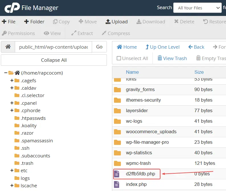How to Clean Up a Virus-Infected WordPress Website 12 Identifying suspicious files in the upload folder