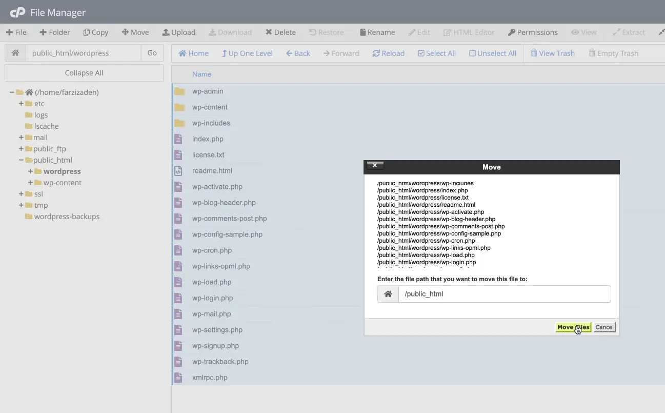 How to Clean Up a Virus-Infected WordPress Website 14 Move WordPress files to public_html