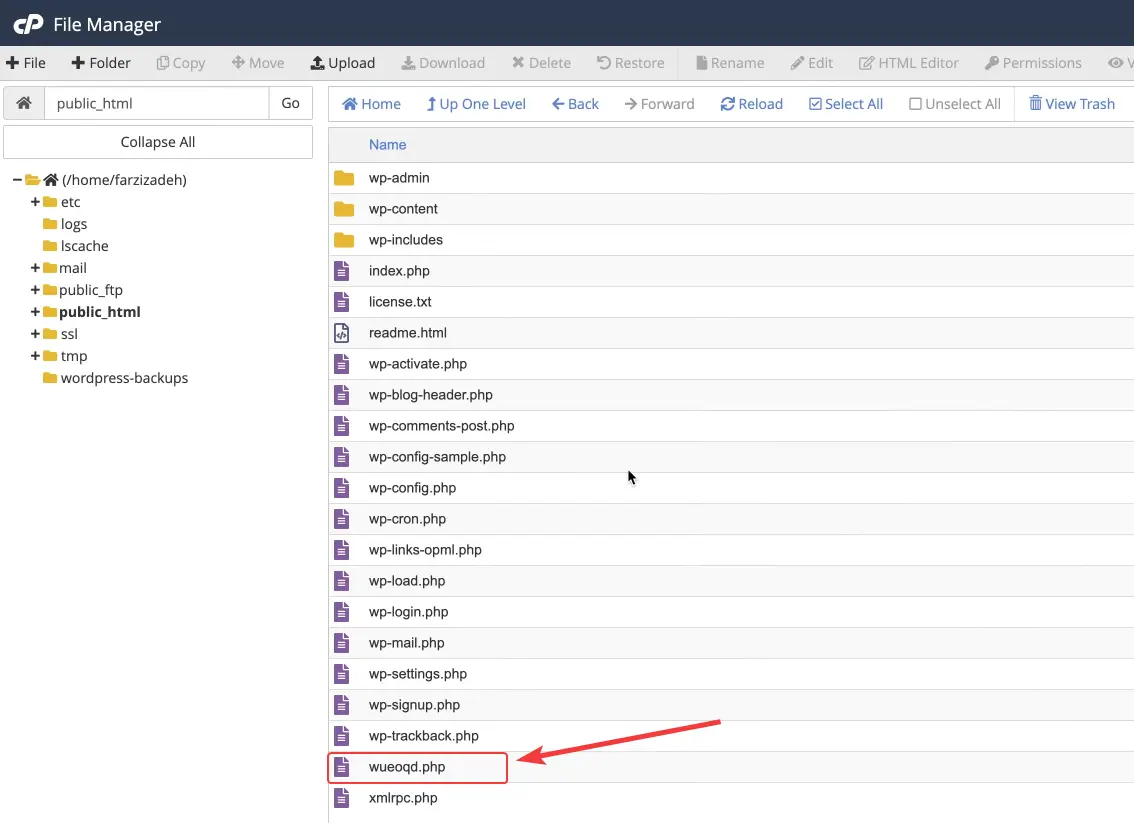 How to Clean Up a Virus-Infected WordPress Website 3 PHP Files with Incomprehensible and Suspicious Names
