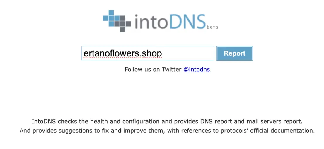 How to Set DNS and Connect Your Domain to Hosting 4 intodns