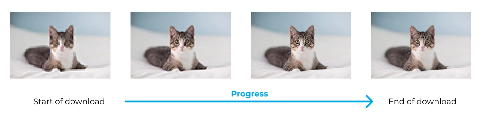 What Is Progressive JPEG and How Can It Help Increase Website Speed? 2 Progressive JPEG
