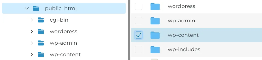 public_html/wp-content/