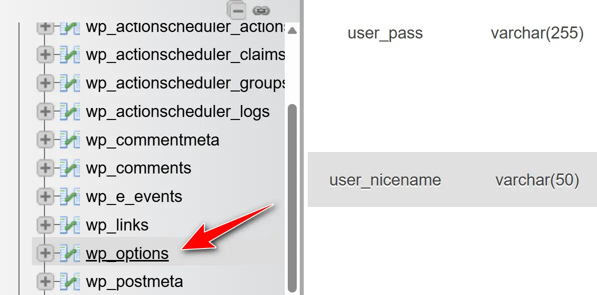 Changing the WordPress Admin Email via the Dashboard or Hosting Panel 12 wp_options table
