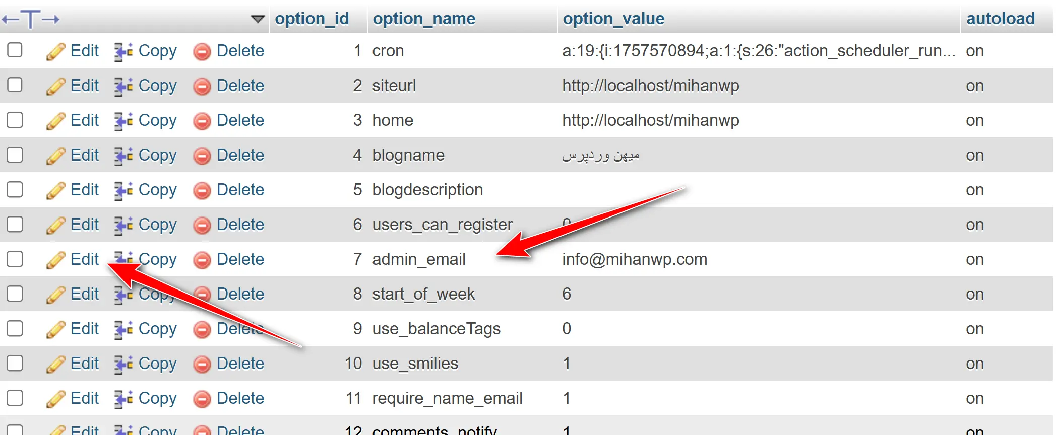 Changing the WordPress Admin Email via the Dashboard or Hosting Panel 13 admin_email